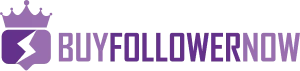 BuyFollowerNow logo